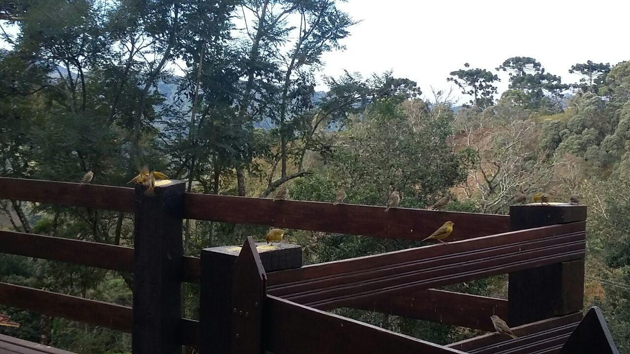 Chales De Analuz Visconde de Mauá Exteriér fotografie